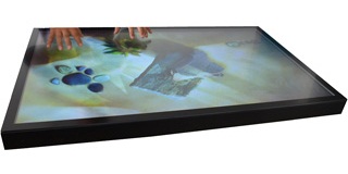 Palas Multi Touch Screen Computer with Full Front Glass, Touchscreen Computer with Full Front Glass, India
